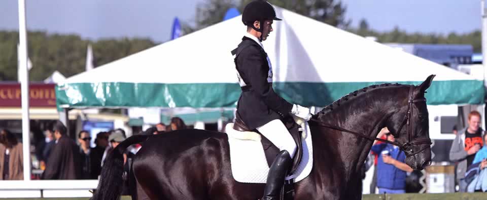 matt jenkins dressage